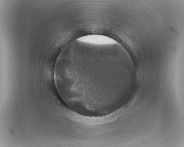 X0000114490039200911161222