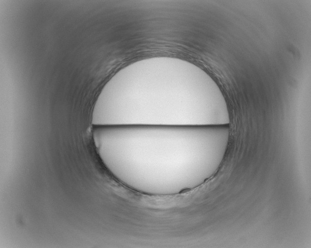 X0000114490041200911161222