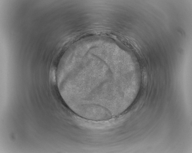 X0000114490042200911161222