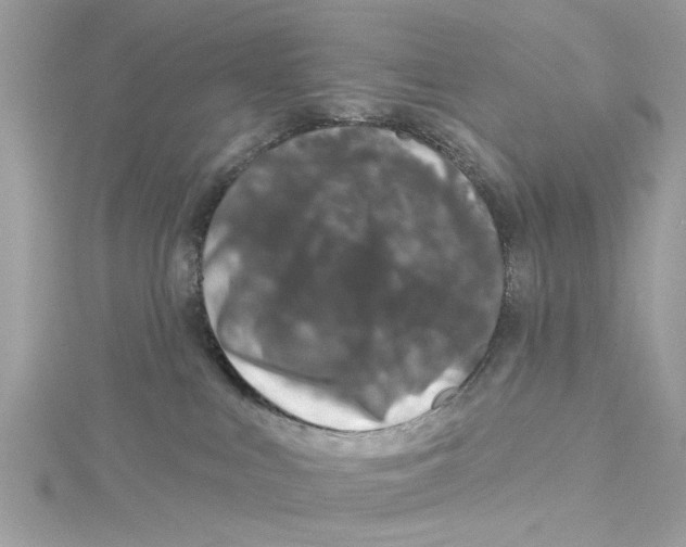 X0000114490043200911161222