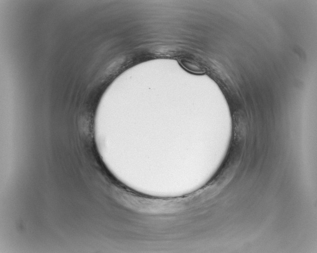 X0000114490044200911161222