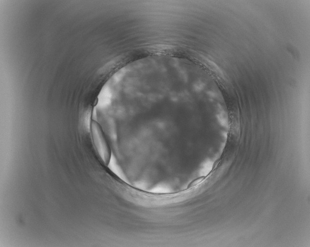 X0000114490047200911161222