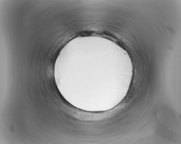 X0000114490048200911161222