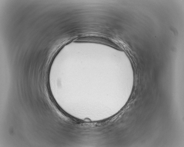 X0000114490049200911161221