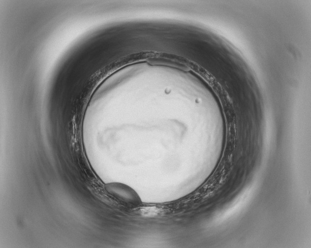 X0000114490050200911161221