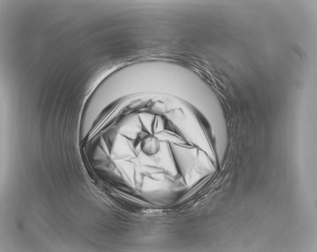 X0000114490052200911161221