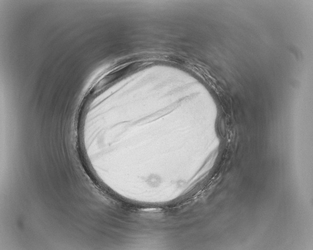 X0000114490053200911161221