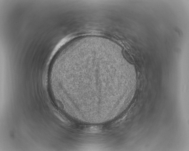 X0000114490056200911161221