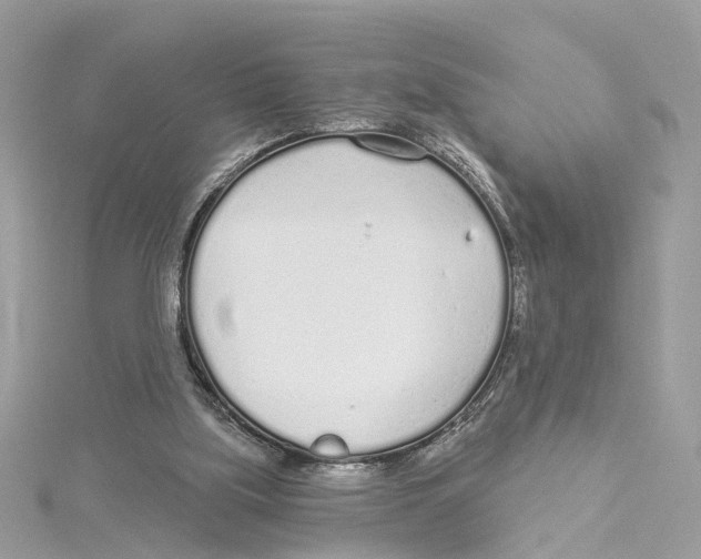 X0000114490059200911161221