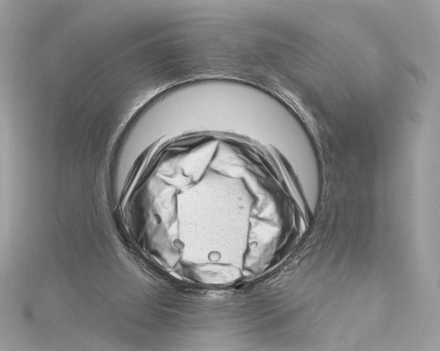 X0000114490060200911161221