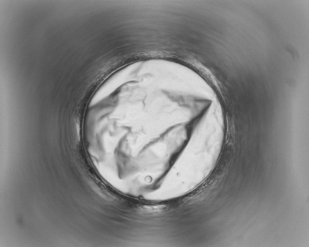 X0000114490061200911161221