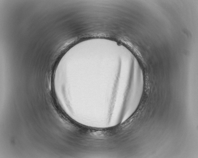 X0000114490062200911161221