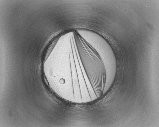 X0000114490064200911161221