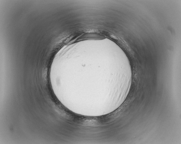 X0000114490066200911161221