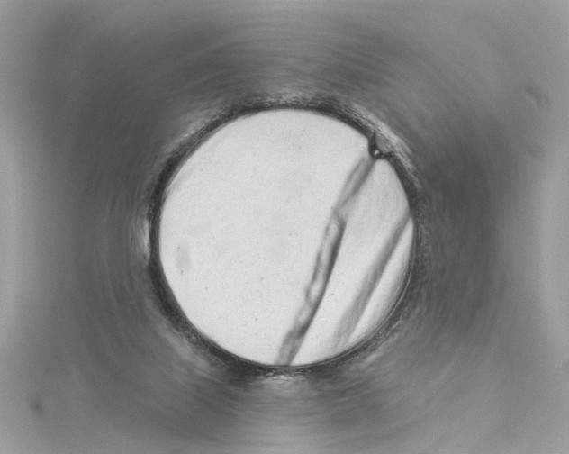 X0000114490067200911161221