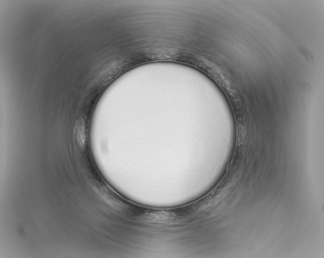 X0000114490069200911161221