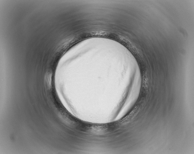 X0000114490070200911161221