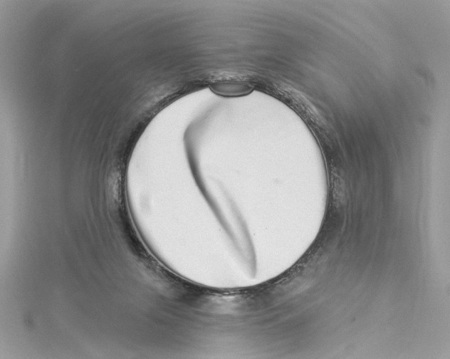 X0000114490071200911161221