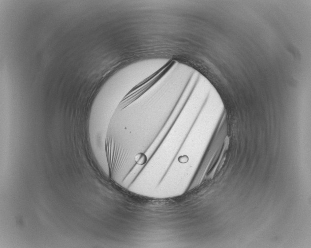 X0000114490076200911161222