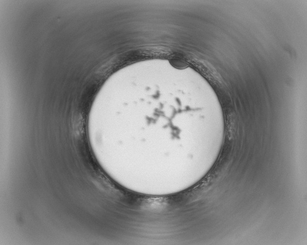 X0000114490077200911161222