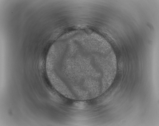 X0000114490079200911161222