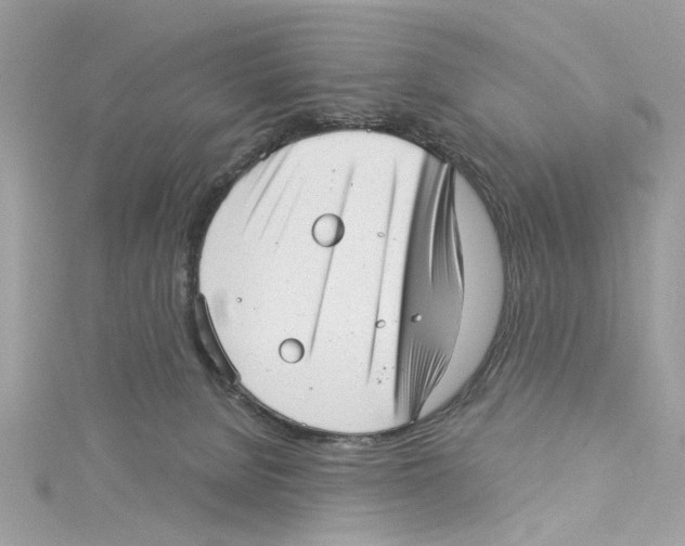 X0000114490080200911161222