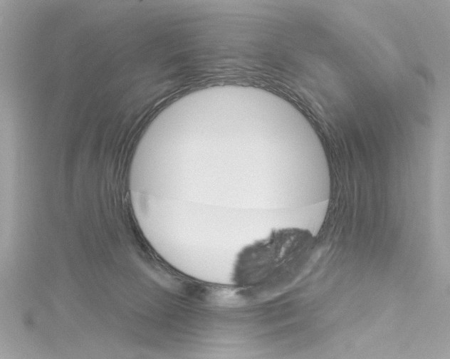 X0000114490081200911161222