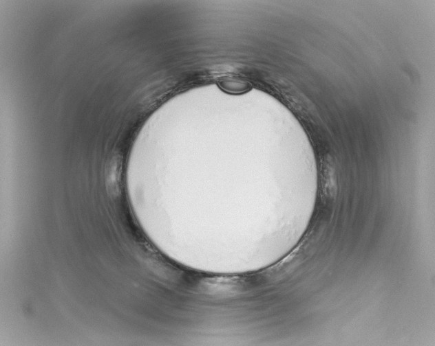 X0000114490082200911161222