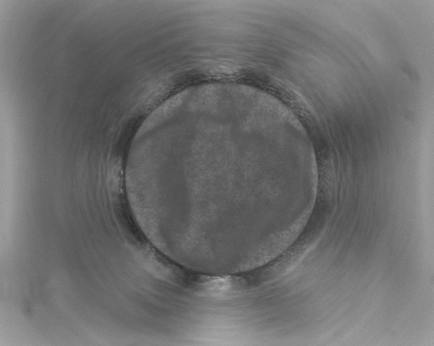 X0000114490083200911161222