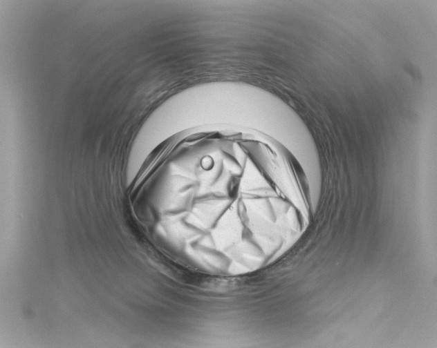 X0000114490084200911161222