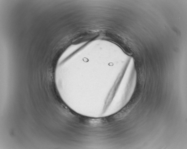 X0000114490085200911161222