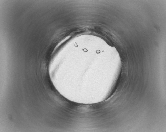 X0000114490086200911161222