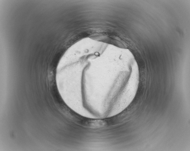 X0000114490087200911161222