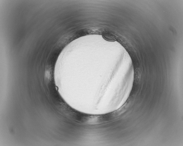 X0000114490090200911161222