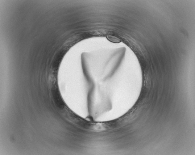 X0000114490091200911161222