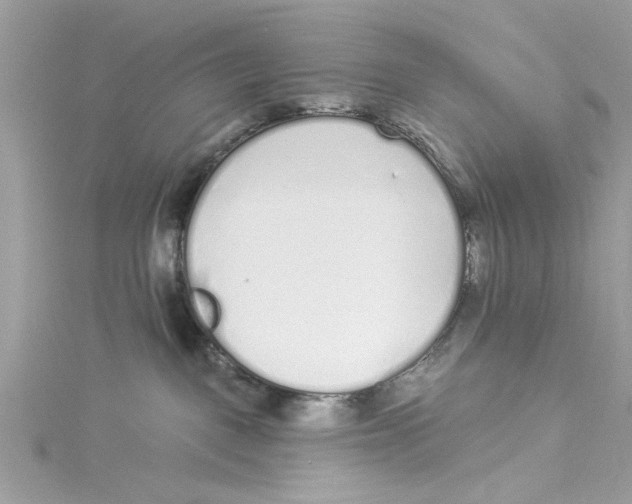 X0000114490093200911161222