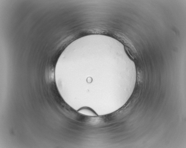 X0000114490095200911161222