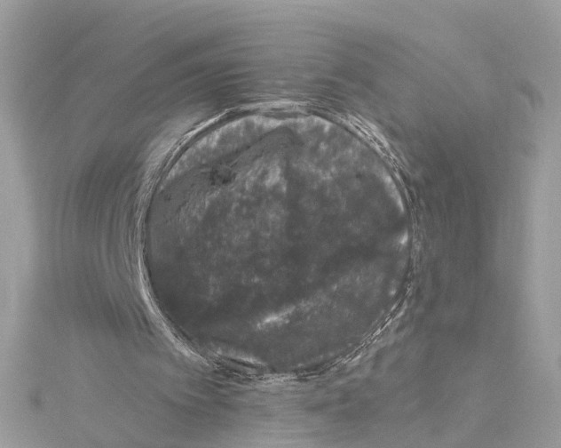 X0000114490097200911161221