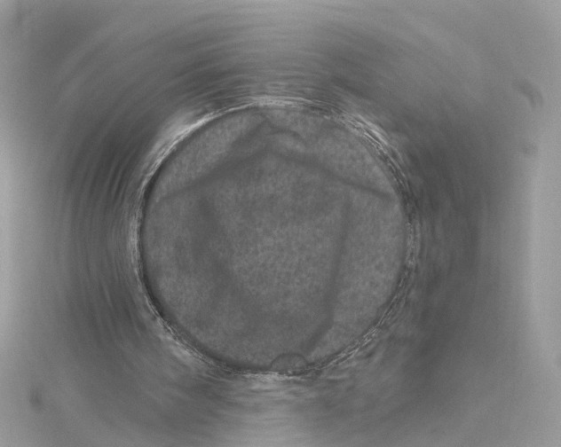 X0000114490098200911161221