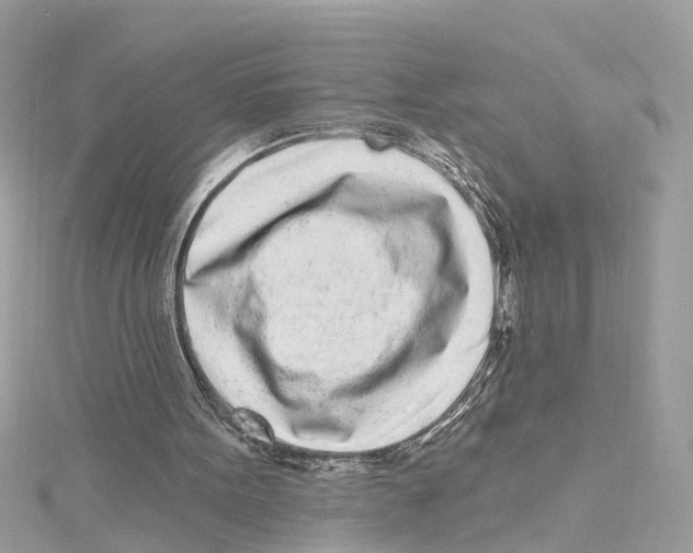 X0000114490099200911161221