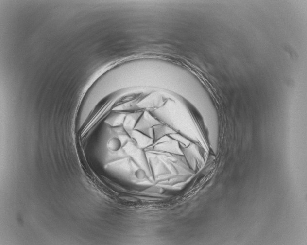 X0000114490100200911161221