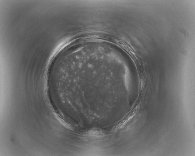 X0000114490101200911161221