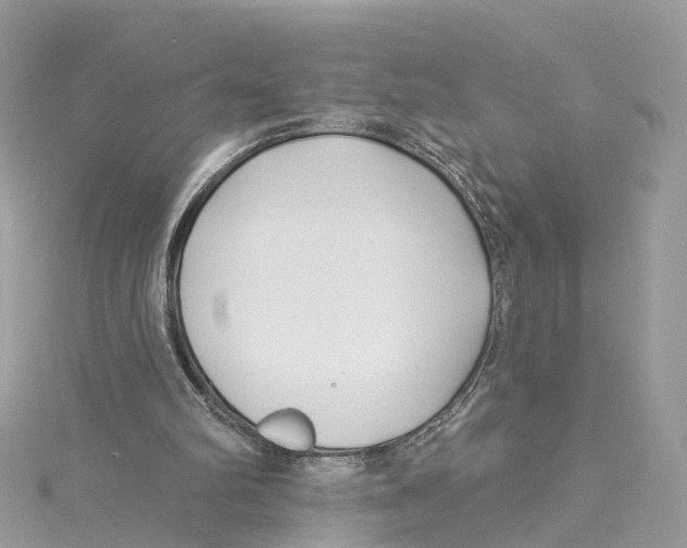 X0000114490102200911161221