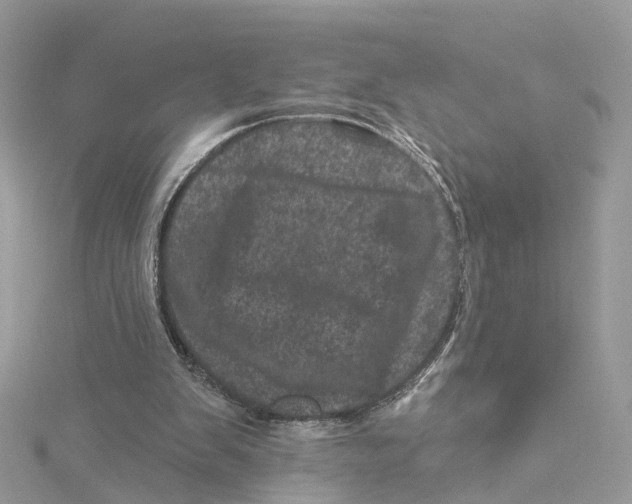 X0000114490103200911161221