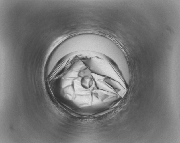 X0000114490104200911161221