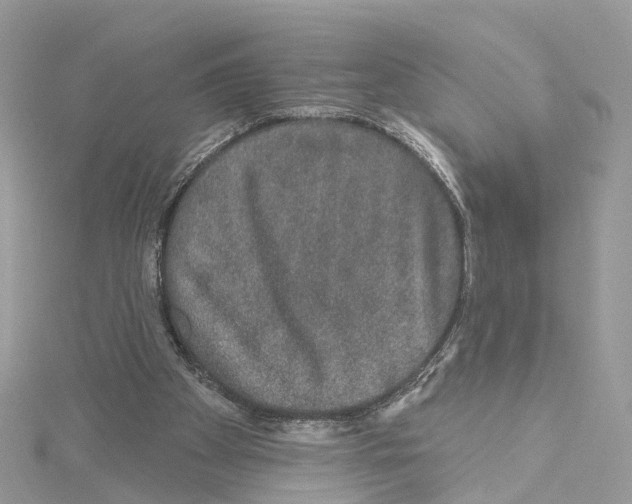 X0000114490105200911161221