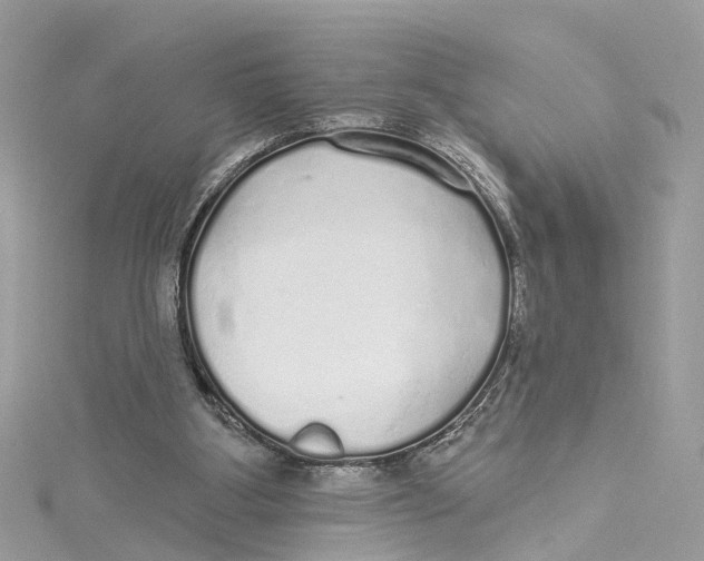 X0000114490107200911161221