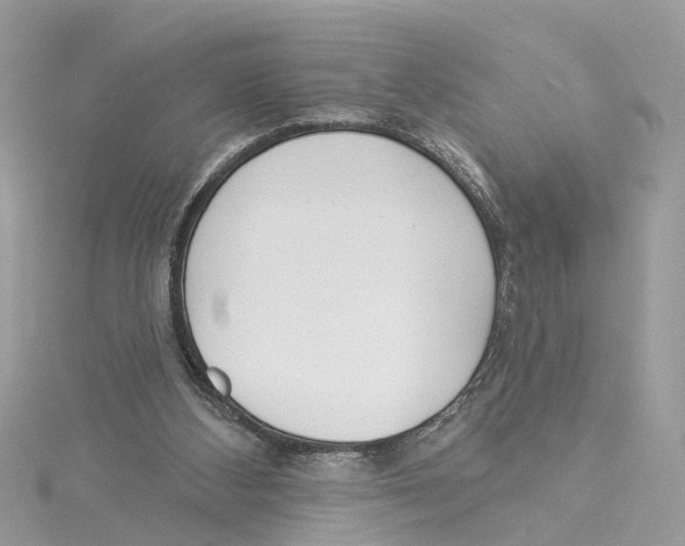 X0000114490108200911161221