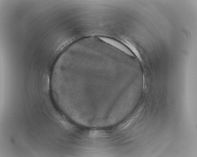 X0000114490109200911161221