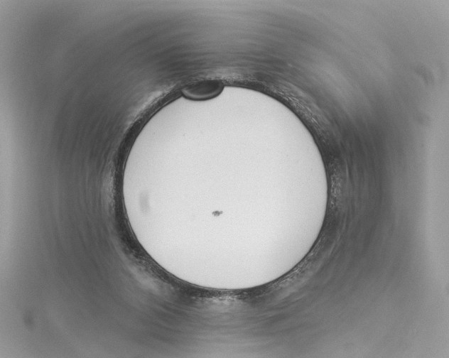 X0000114490112200911161221